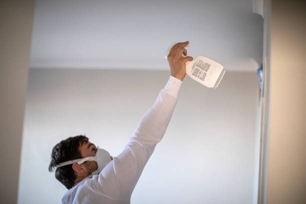 Best Black Mold Removal  in Cottonwood, CA