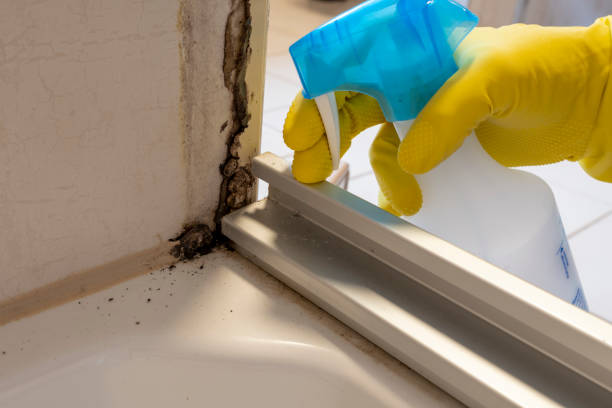 Best Mold Testing  in Cottonwood, CA
