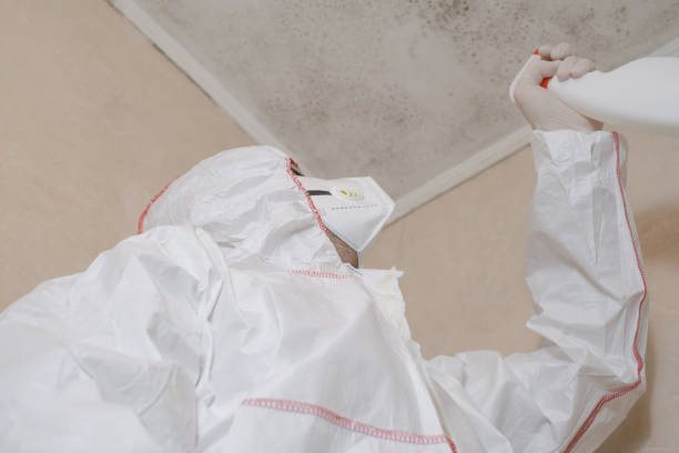 Certified Mold Removal in Cottonwood, CA