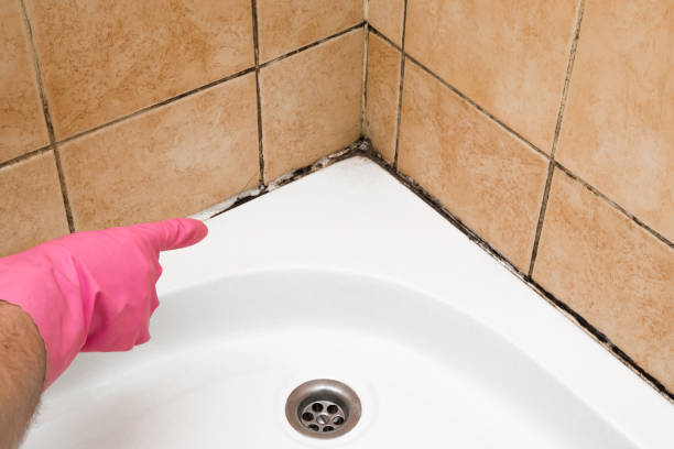 Best Office Mold Removal Services  in Cottonwood, CA